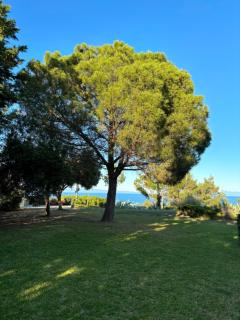 THEA MARE villa - Nea Potidaea - 9