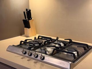 High Ceiling 6 Beds Private Garden Oasis 1min to Stadiums & Parking - Sydney - 2