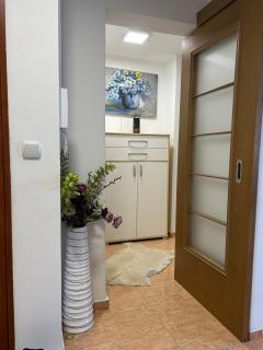 City Center Apartment - Pristina - 8