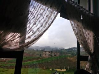 Moidoo's Maison - Ooty - 2