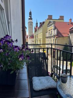 Apartament Vikicentrum - Bolesławiec - 0