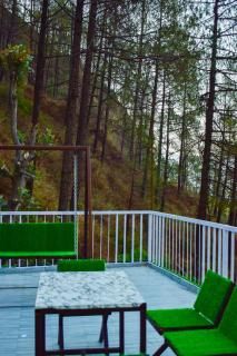 The Fall Stays - Nainital - 3
