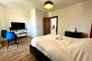 Nancy Pépinière Appartement rénové et équipé - 5