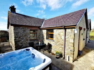 Y Dderwen Aberaeron - 0