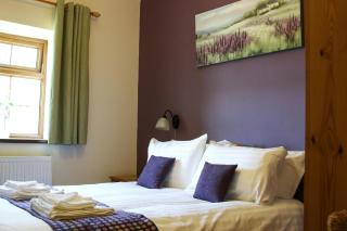 Y Dderwen Aberaeron - 4