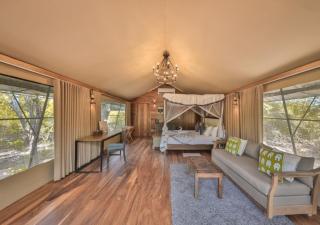 Tribe Yala - Luxury Camping - 6