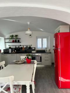 Albero della vita - Cuneo - 7