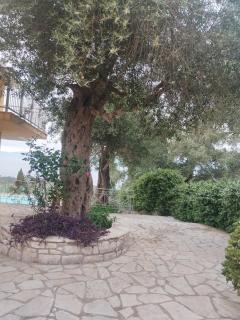 Villa Milou - Kagkátika - 9