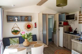 Blue Grass Ranch - MobilHome Cactus - Bischoffsheim - 3