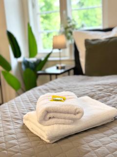 bella casa - Family&Business, 100m zum Konzerteingang Schloß, Parkplatz, SmartTV, Netflix, Waschmaschine, 24h Checkin, 30qm, AP1 - Ludwigsburg - 5