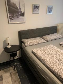 2-Zimmer-Whg im Souterrain Sauna extra Gebühr - Großenseebach - 9