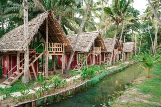 TempleTree Inn - Varkala - 7