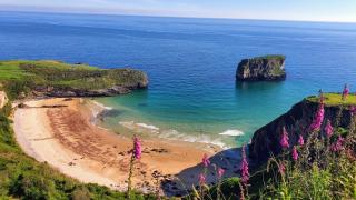 La Pitufina Blue - 8