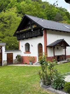 Casa Stefania - Tălmăcel - 8