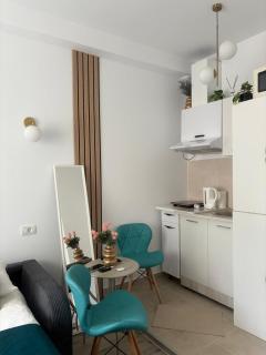 Ylka Studio Victoriei Downtown - Bucarest - 7