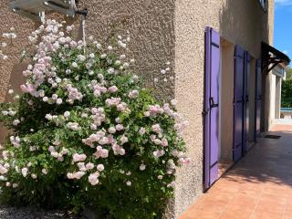 La Bergeronnette - Lorgues - 9