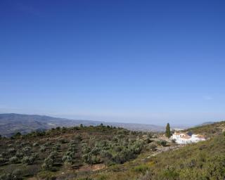 La Fuente Retreat - 2