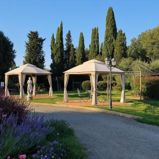 Casa Dei Mandorli, Pool, Wifi, Peccioli - Peccioli - 7