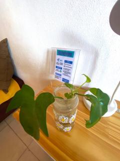 Duplex Urbano - Puerto Iguazú - 3