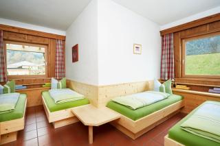 Chalet Pienz - Oetz - 1