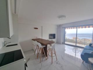 Appartement Monaco Guynemer terrasse et PARKING - Beausoleil - 3