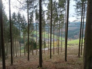 Haus Traumblick und Alpenzauber - 7