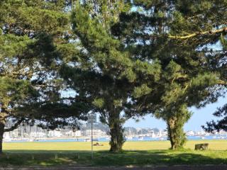 Catalina19 - Poole - 2