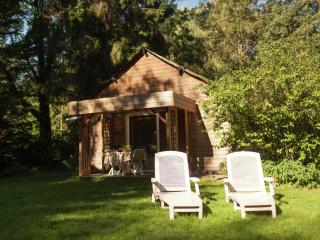 Cozy chalet in Ponchel with pond - Le Ponchel - 1