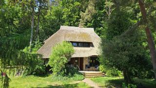 Reethus Mandy - Staphel - 0