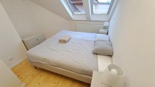Prague Urban Oasis Loft - Praga - 0