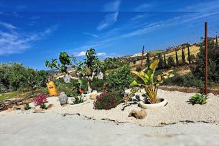 ANDRIA - Peristerona - 5