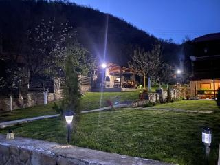 Casa David - Sviniţa - 4