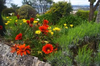 Castanheiro Cottage Relaxing Nature - Caminha - 4