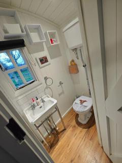 Luxury Countryside Shepherds Hut with Hot Tub - 1