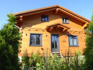 Harz - Blockhaus mit Sauna und Kamin, Comfort -"Hütte" - Hahnenklee-Bockswiese - 9