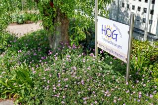 Ferienwohnungen Hog , Ringsheim - Ringsheim - 4