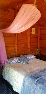 Wild Hunters Cabin - - 5