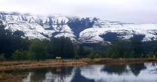 Wild Hunters Cabin - - 4