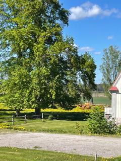 Bjelkesta - Örsundsbro - 9