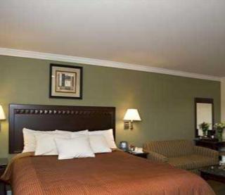 North Bay Inn - San Rafael - 2