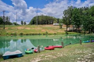 Charming Waterfront Cottage Getaway - Mill Spring - 3