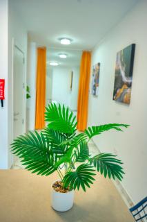 Charming and bright one bedroom apartment CPAC2-1 - St Julian's - 4