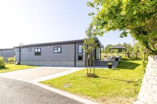 Bramble Lodge, 12 Roadford Lake Lodges - Broadwoodwidger - 6