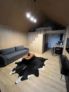 The Landscape Barn Homes - Rîşnov - 7