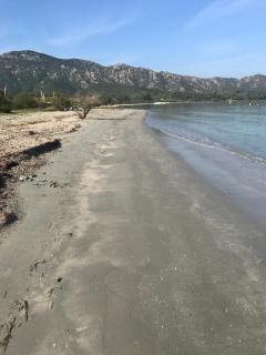 gite au paradis, parc animalier - Olmeta-di-Tuda - 7