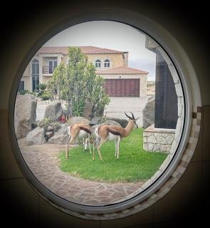 Sandy Greens Villa - Swakopmund - 8