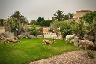Sandy Greens Villa - Swakopmund - 4