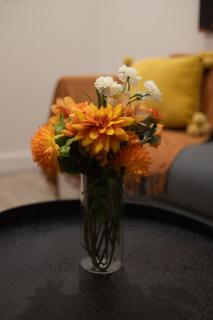 Beautiful 3BR Residence in MTL NDG - Montréal - 4