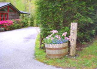 826 Wilson Road - Highlands - 8