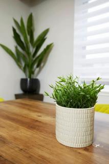 Stylish 2BR in Montreal - Montréal - 1